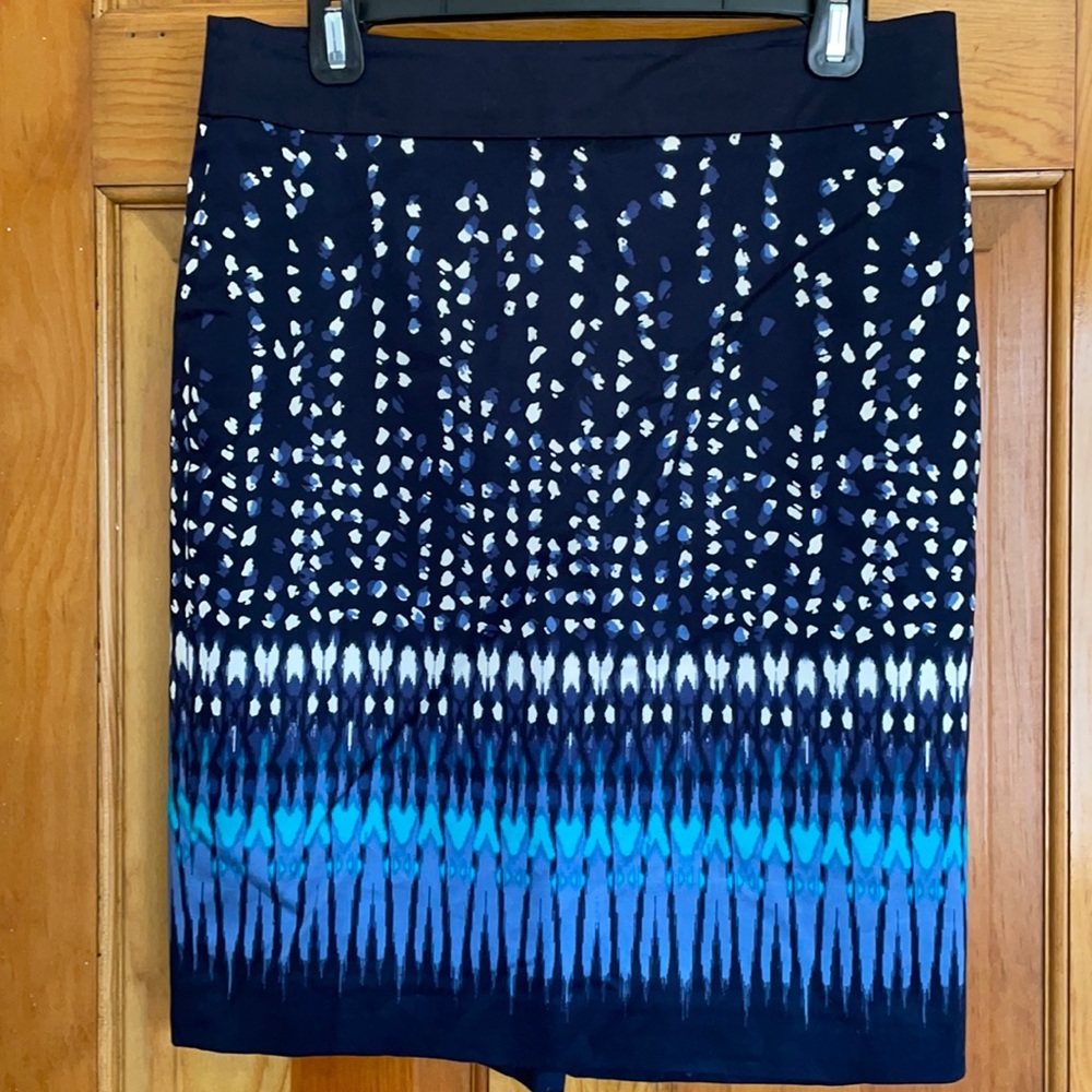 Ann Taylor Skirt